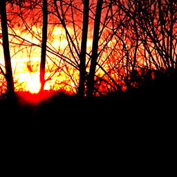 colorful freetoedit nature photography sunset