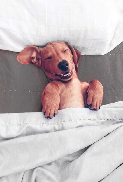 laugh laughing smiling giggle lol freetoedit